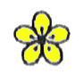 Blüte: 5 blättrig; Einzelblüte; Farbe: gelb